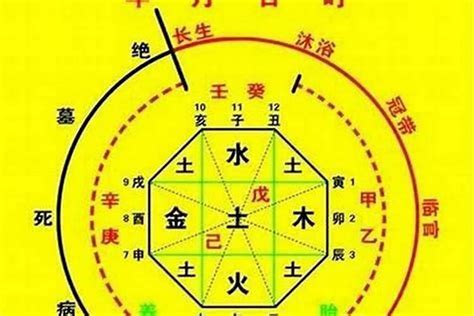 八字 十神|生辰八字算命、五行喜用神查询（免费测算）